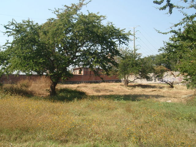 TERRENO