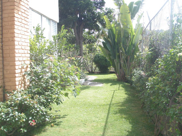 JARDIN