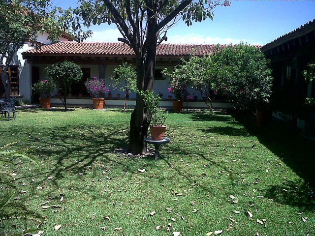 JARDIN BUNGALOW