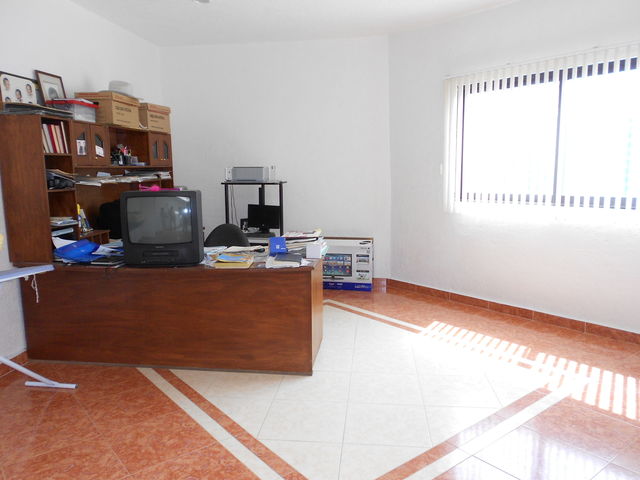 ESTUDIO