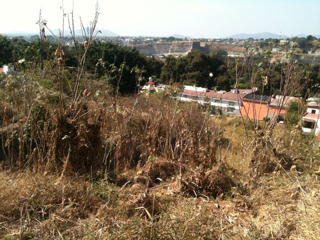 TERRENO